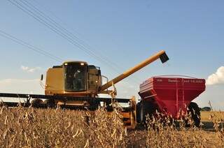 IBGE aponta crescimento da área de soja sobre algodão e milho. (Foto: Arquivo/Campo Grande News)