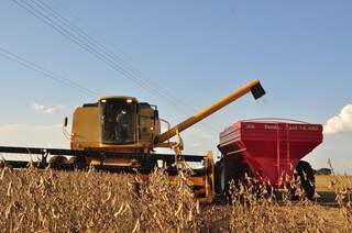 IBGE aponta crescimento da área de soja sobre algodão e milho. (Foto: Arquivo/Campo Grande News)