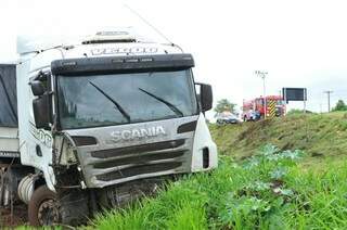 Carreta caiu às margens da rodovia após condutor perder o controle perto de radar (Foto: Alcides Neto)