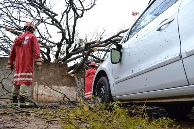 &Aacute;rvore cai sobre muro e carro em estacionamento na Mato Grosso