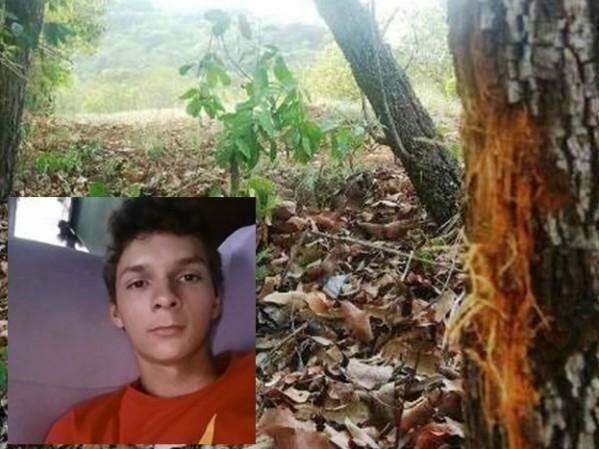 Jovem de 19 anos morre ap&oacute;s colidir motocicleta em &aacute;rvore e cair 