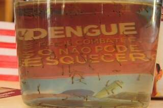 Dengue já provocou 19 mortes em Mato Grosso do Sul, segundo Secretaria de Saúde. (Foto: Rodrigo Pazinato)