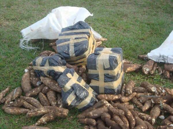 Pol&iacute;cia paraguaia encontra maconha em sacos de mandioca na fronteira com MS