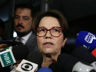 A ministra da Agricultura Tereza Cristina. (Foto: Agência Brasil)