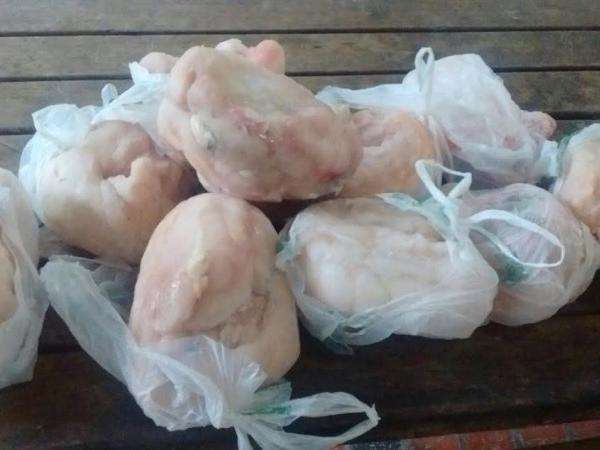 Ap&oacute;s den&uacute;ncia, homem &eacute; flagrando vendendo de carne de jacar&eacute;