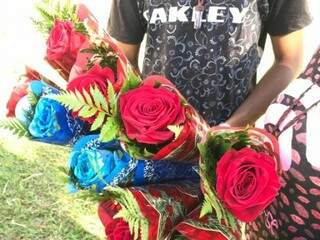 Vermelhas e azuis, rosas são vendidas pelo casal por R$ 20 (Foto: Kerolyn Araújo)