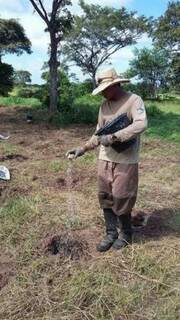 Mudas de manduvi, cumbaru, jatobá e piúva serão plantadas até 2017 (Foto: Divulgação/Embrapa Pantanal)
