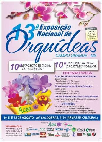 Cidade terá eventos com orquídeas em destaque e cursos gratuitos de cultivo