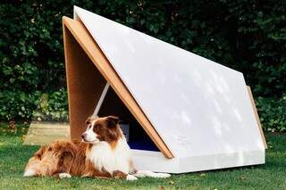 Ford cria casinha para cães com isolamento acústico