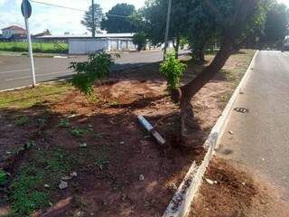 Canteiro da Mato Grosso após carro atravessar antes de colidir com muro (Foto: Direto das Ruas)