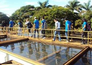 Sanesul pode desativar estação de tratamento de água por causa da cheia do Rio Dourados (Foto: Divulgação)