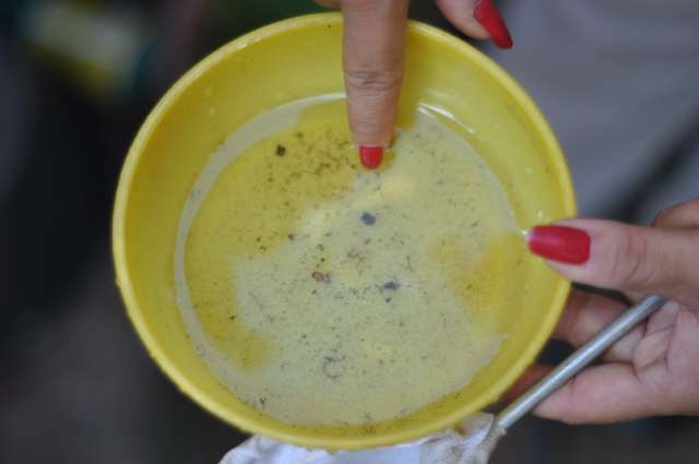 Em uma semana, n&uacute;mero de casos de dengue cresceu 25% no Estado