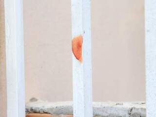 Mancha de sangue no portão (Foto: Marina Pacheco) 