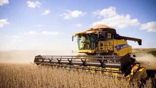 Colheita de soja; agropecuária reduziu postos de trabalho em agosto, mas tem saldo positivo no ano (Foto: Divulgação)