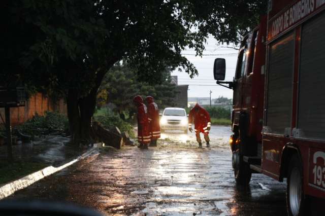 Chuva causa queda de tr&ecirc;s &aacute;rvores e vai continuar at&eacute; segunda na cidade