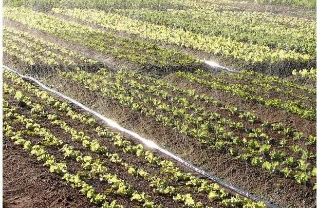 MPF recomenda fiscaliza&ccedil;&atilde;o ap&oacute;s den&uacute;ncia de terceiriza&ccedil;&atilde;o de merenda 