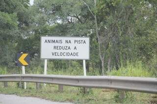 Durante  a rodovia, diversas placas alertam para a presença de animais. (Foto: Marcos Ermínio)