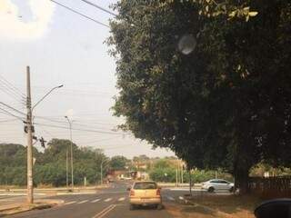 Galhos de árvores escondem semáforo no cruzamento da Rua das Roseiras com a Avenida Lúdio Martins Coelho. (Foto: Direto das Ruas)