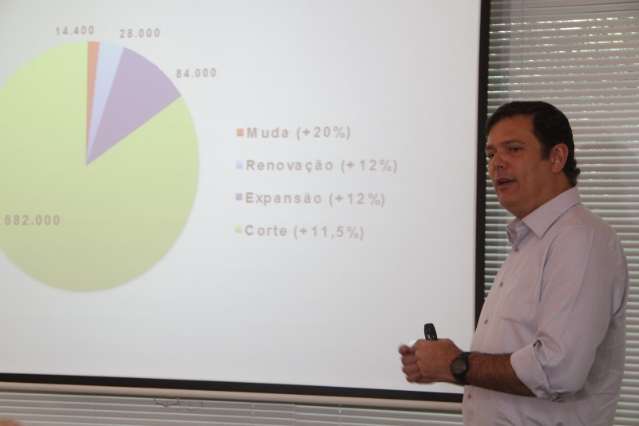 Em crise no pa&iacute;s, produ&ccedil;&atilde;o de cana tem ligeira recupera&ccedil;&atilde;o em MS