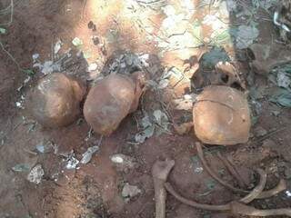 Crânios encontrados ontem em cova rasa no lado paraguaio da fronteira (Foto: Direto das Ruas)