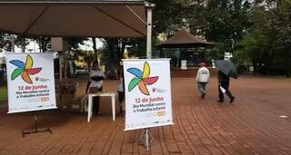 AO VIVO: 46 mil crian&ccedil;as trabalham em MS; a&ccedil;&atilde;o em pra&ccedil;a conscientiza popula&ccedil;&atilde;o