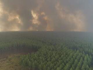 Imagens de incêndio feitas por drone na fazenda. (Foto: Andrei Ruiz)