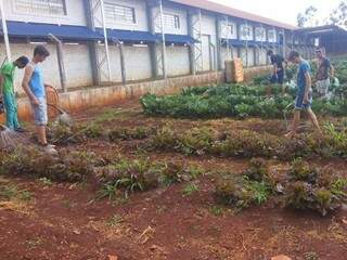 Estudantes cuidam da horta em escola ocupada (Foto: Divulgação)