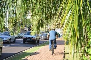 Em trecho da ciclovia da avenida Afonso Pena, galhos de coqueiros atrapalham a passagem dos ciclistas.(Foto: Vanessa Tamires)