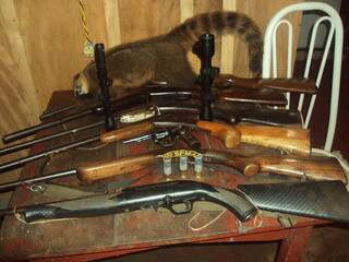 Quati e parte das armas encontradas em fazenda. (Foto: Divulgação)
