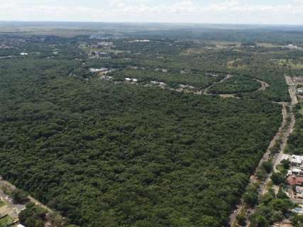Juiz nega liminar contra desmatamento de 3,3 hectares no Parque dos Poderes