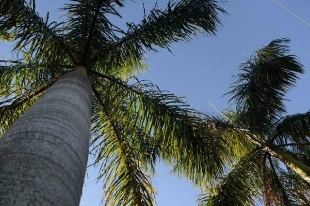 Temperatura alta, chuva forte e queda de granizo est&atilde;o previstos para amanh&atilde;