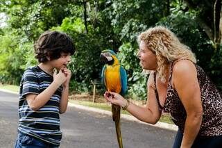 Sandra mostra Jade para criança que passava pelo Parque dos Poderes  (Foto: Kisie Ainoã)