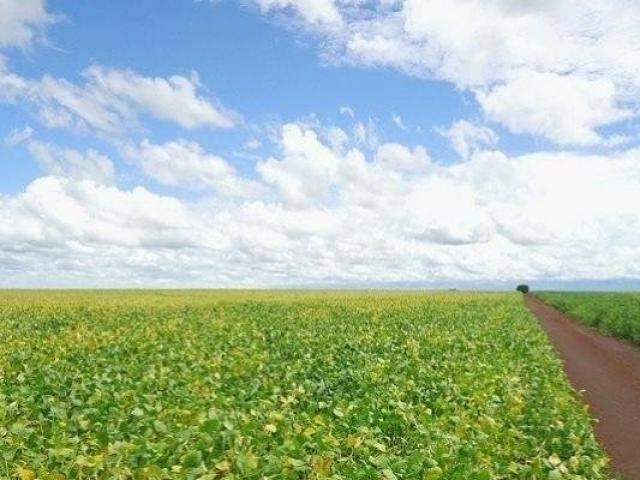 Temer prorroga prazo do Refis do Funrural