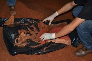 Correia de máquina de levar foi encontrada junto a ossada humana (Foto: divulgação/Polícia Civil