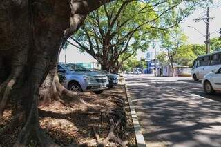 Convivência entre carros e árvores deveria ser menos íntima na Mato Grosso, segundo especialistas. (Foto: Fernando Antunes)