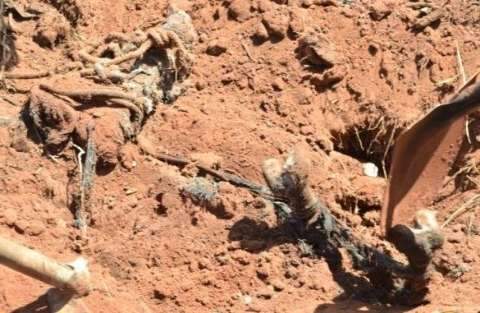  Polícia aciona Justiça para enterrar ossadas encontradas em cemitério do Nando 