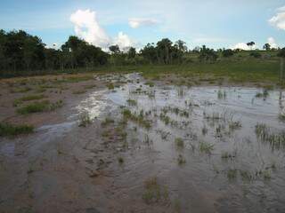 Erosão é uma valeta causada pela chuva ou pelas águas por falta de mata auxiliar nas margens do rio. (Foto: Divulgação) 