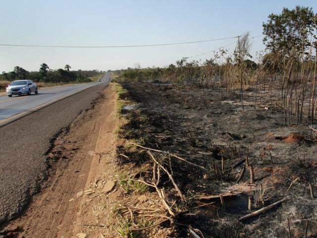 Fogo consome 200 metros de mato em &aacute;rea ao lado do aterro sanit&aacute;rio