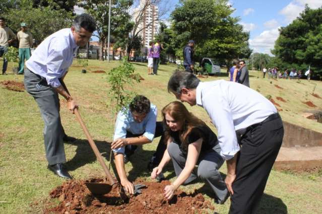 &Aacute;rea do C&oacute;rrego Prosa ganha trezentas mudas na Semana da &Aacute;rvore
