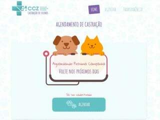 Vagas para castra&ccedil;&atilde;o de gatos gratuita se esgotam em 9 minutos
