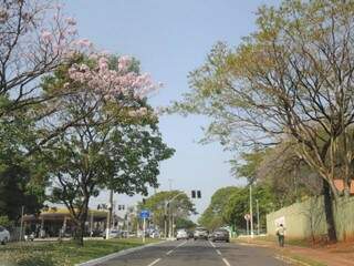 Céu claro e sol forte na tarde desta quarta-feira na avenida Mato Grosso em Campo Grande (Foto: Paulo Francis)