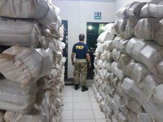 Fardos da droga encheram uma sala inteira da Denar (Foto: PRF/Divulgação)