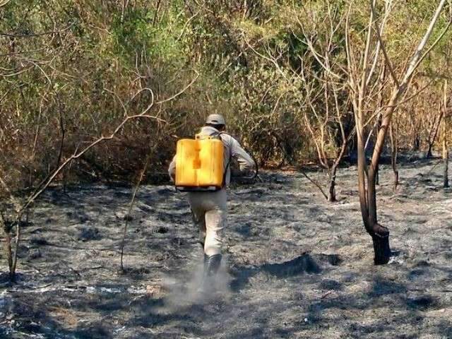 Julho j&aacute; teve 167% pontos de calor a mais do que no m&ecirc;s passado em MS