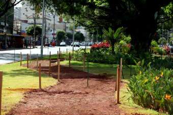  Prefeitura inicia implanta&ccedil;&atilde;o de ciclovia na avenida Afonso Pena