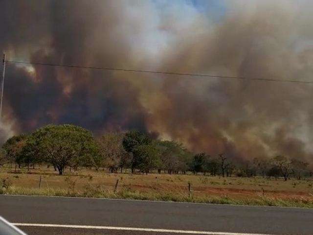Inc&ecirc;ndio de grandes propor&ccedil;&otilde;es queima barracos e eucaliptos na BR-262