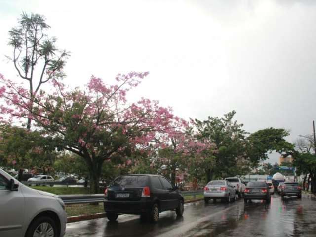 R&aacute;pida, chuva cai em v&aacute;rios pontos da cidade, mas n&atilde;o causa estragos