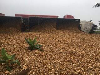 Carga de 35 toneladas de cavaco ficou espalhada à beira da rodovia (Foto: Guilherme Henri)
