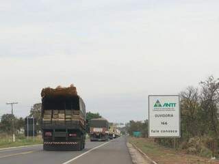 Caminhões só podem rodar com cargas se tiverem o selo da ANTT (Foto: Henrique Kawaminami)