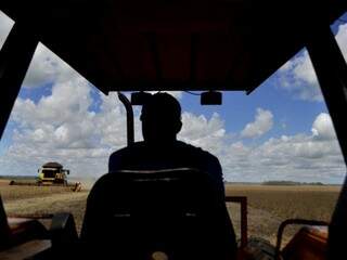Trabalhador em colheita de soja; número de profissionais e salário crescem nos campos de MS (Foto: João Carlos Castro/Senar-MS)