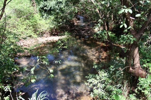Cobi&ccedil;ada para invas&atilde;o, &aacute;rea verde tem abandono e moradores pedem pra&ccedil;a 